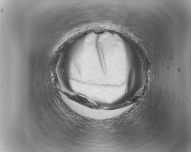 X0000054461496200508191649