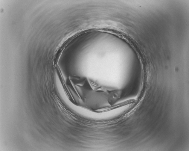 X0000054461497200508191649