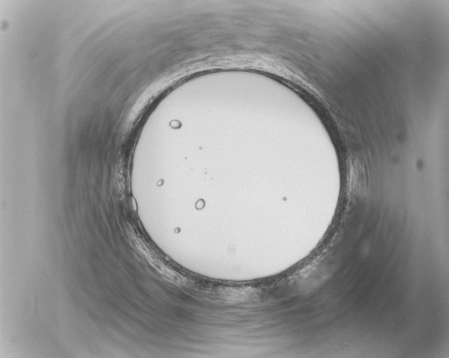 X0000054461498200508191649