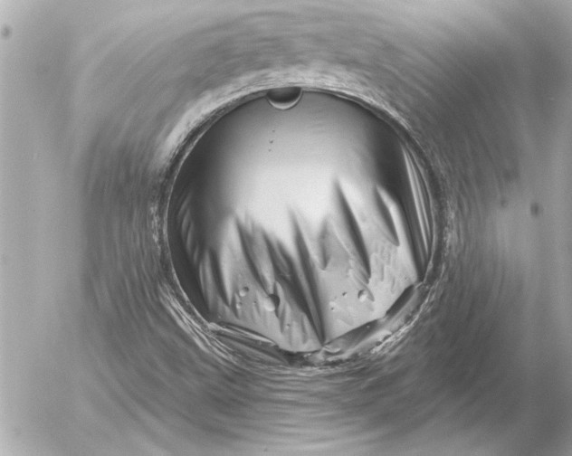 X0000054461499200508191649