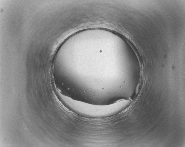 X0000054461500200508191649