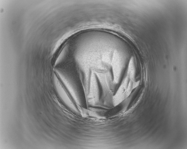 X0000054461501200508191649