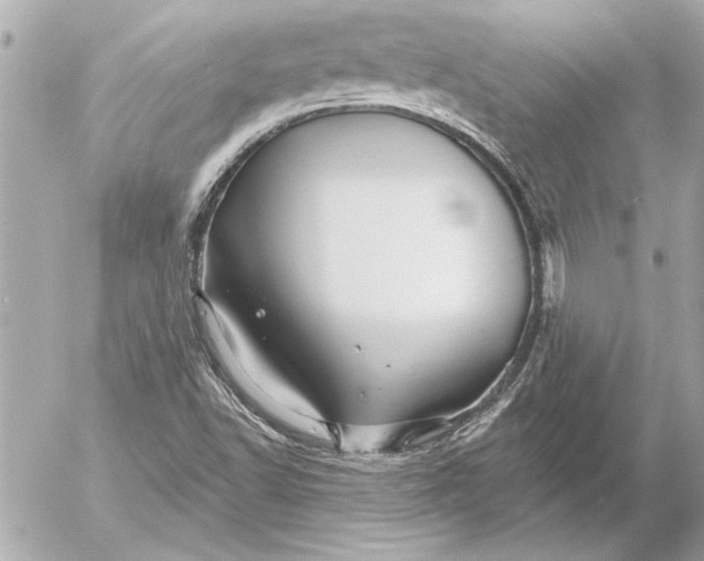 X0000054461502200508191649