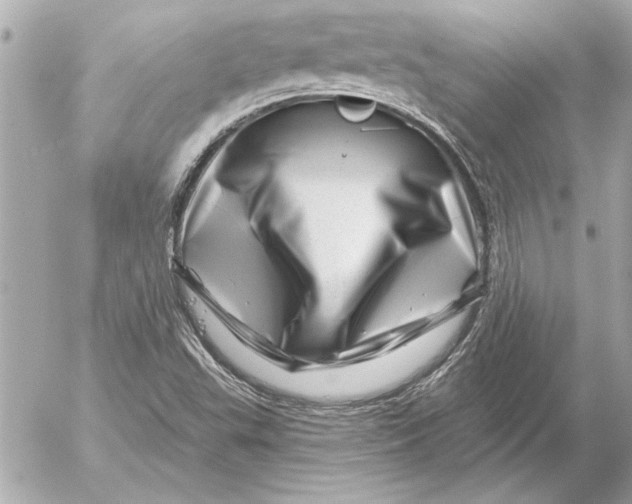 X0000054461503200508191649