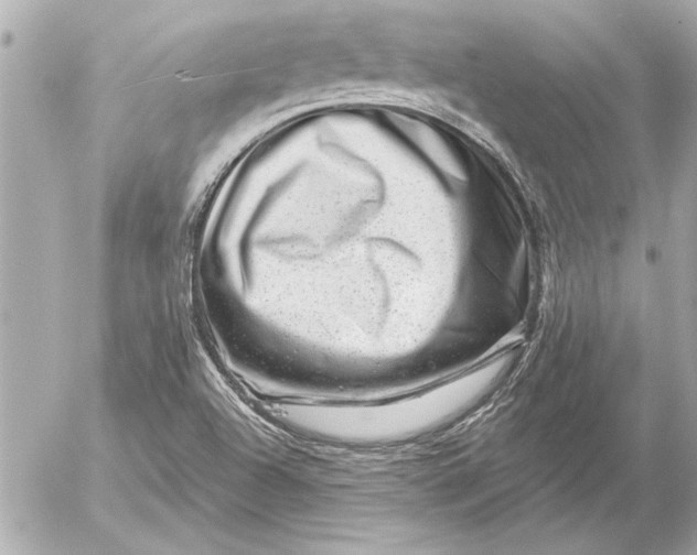 X0000054461504200508191649