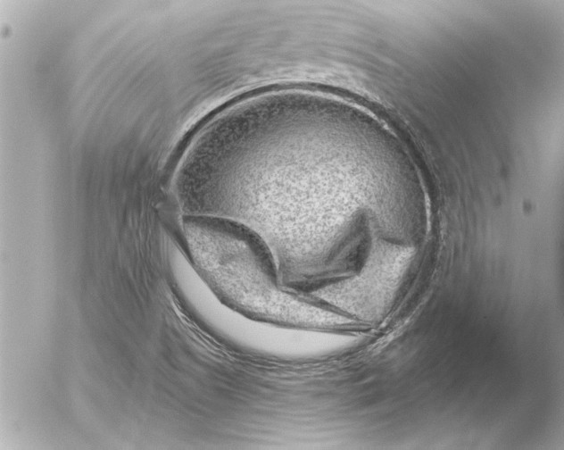 X0000054461505200508191649