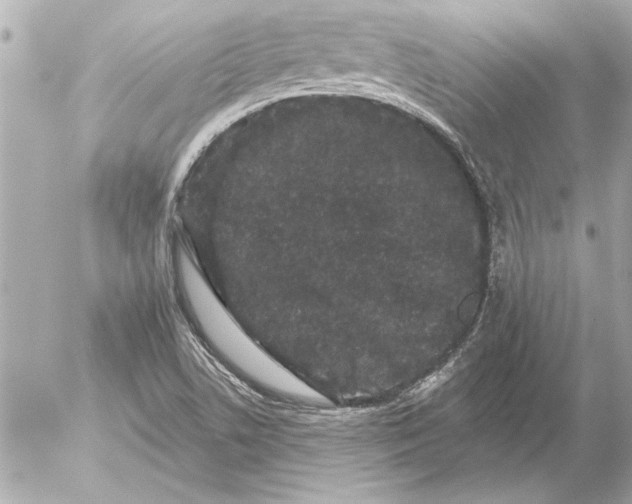 X0000054461506200508191649