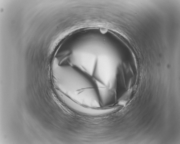 X0000054461507200508191649