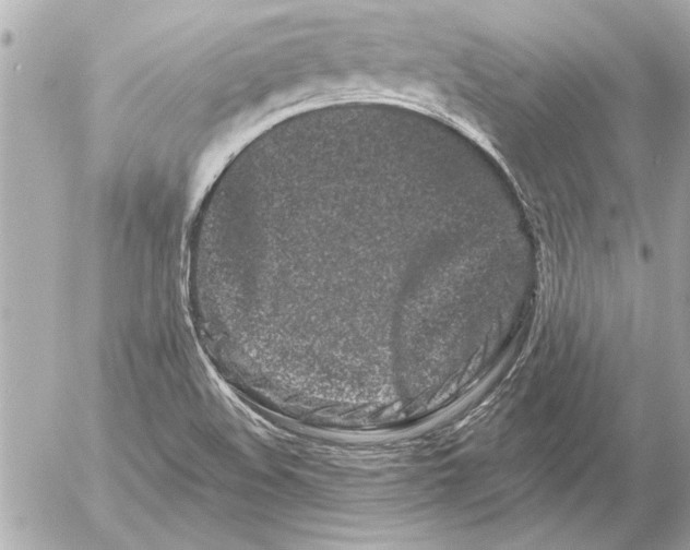 X0000054461508200508191649