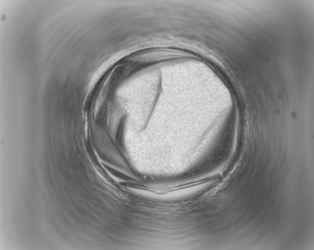 X0000054461509200508191649