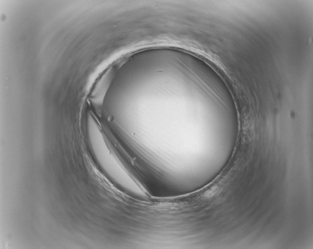 X0000054461510200508191649