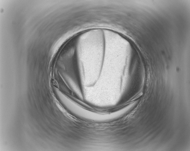 X0000054461511200508191649