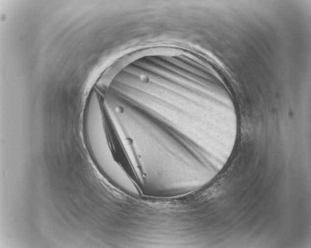 X0000054461512200508191649