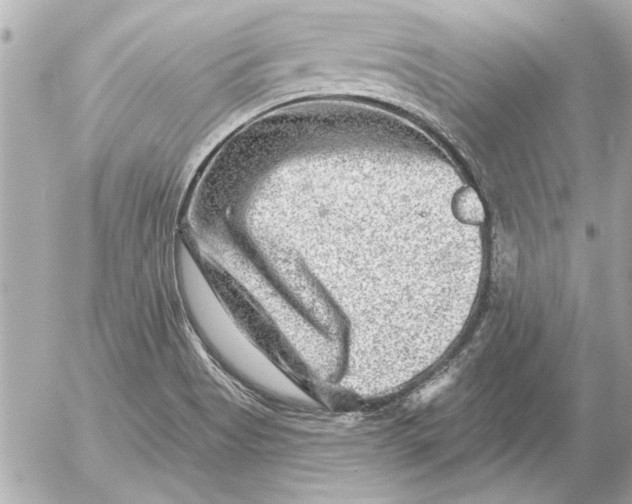 X0000054461513200508191649