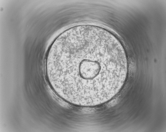 X0000054461514200508191649