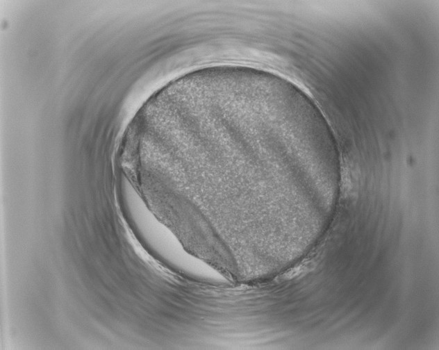 X0000054461515200508191649