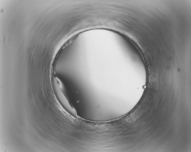 X0000054461516200508191649