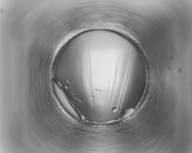 X0000054461517200508191649