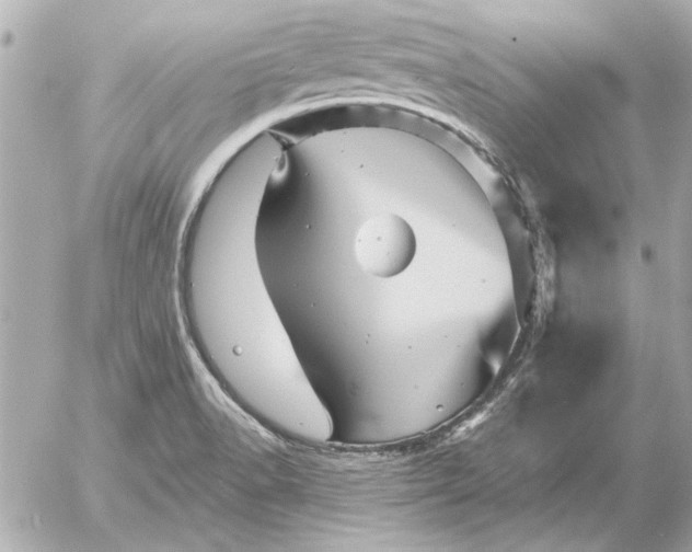 X0000054461518200508191649