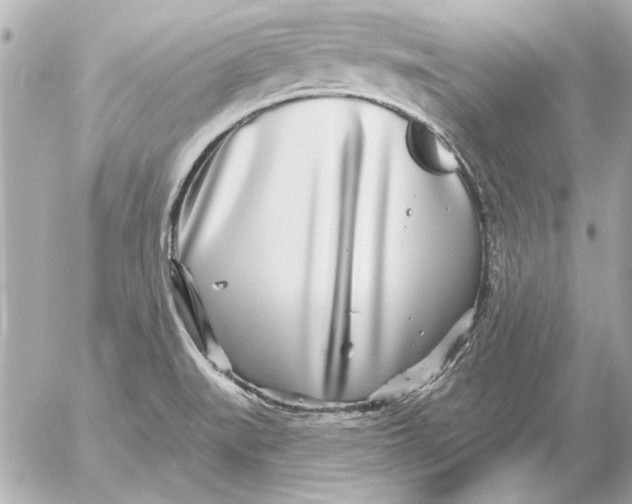 X0000054461519200508191649