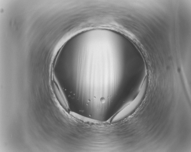 X0000054461520200508191649