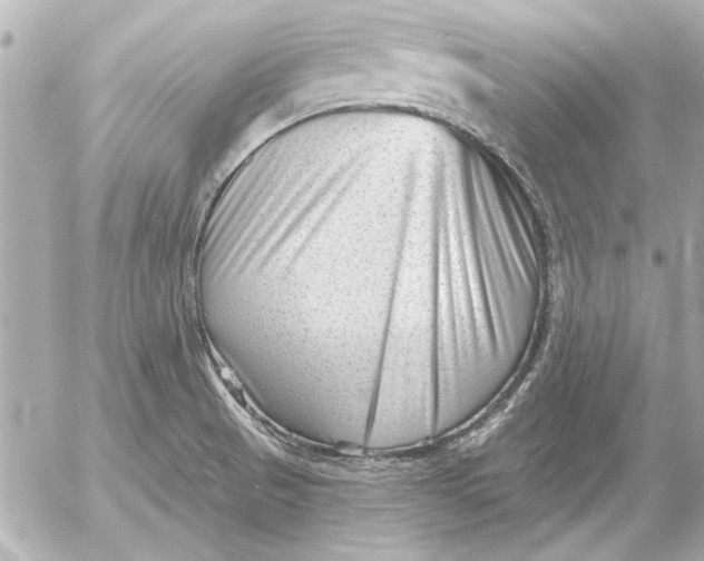 X0000054461521200508191649