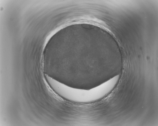 X0000054461522200508191649