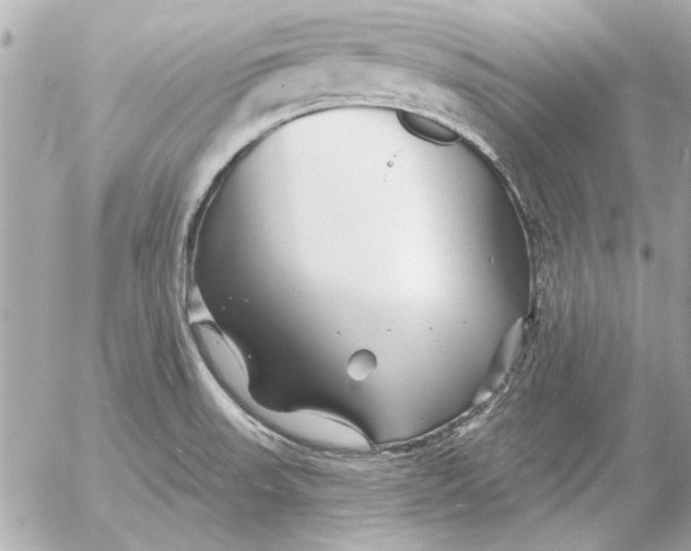 X0000054461523200508191649