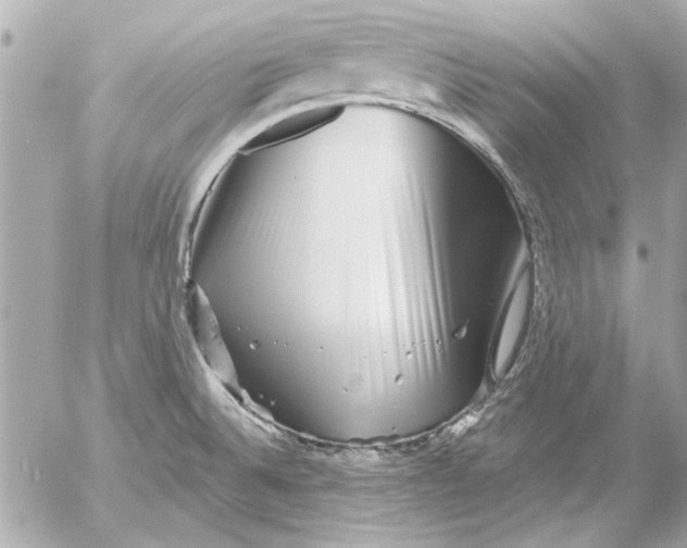 X0000054461524200508191649