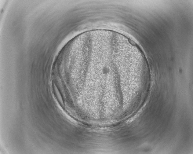 X0000054461525200508191649