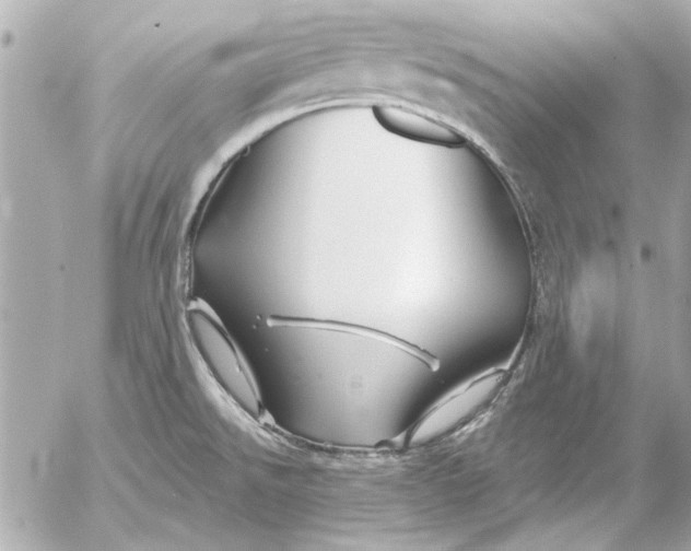 X0000054461526200508191649