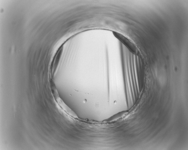 X0000054461527200508191649