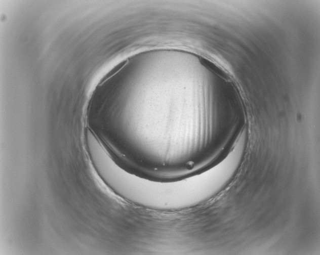 X0000054461528200508191649