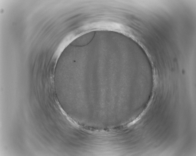 X0000054461529200508191649