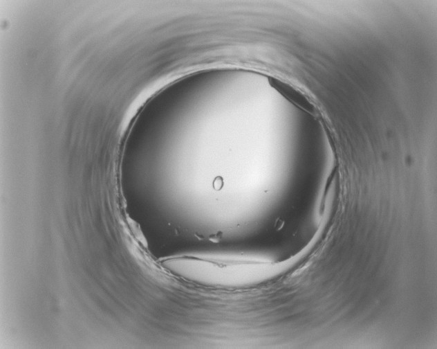 X0000054461530200508191649