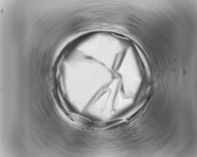 X0000054461531200508191649