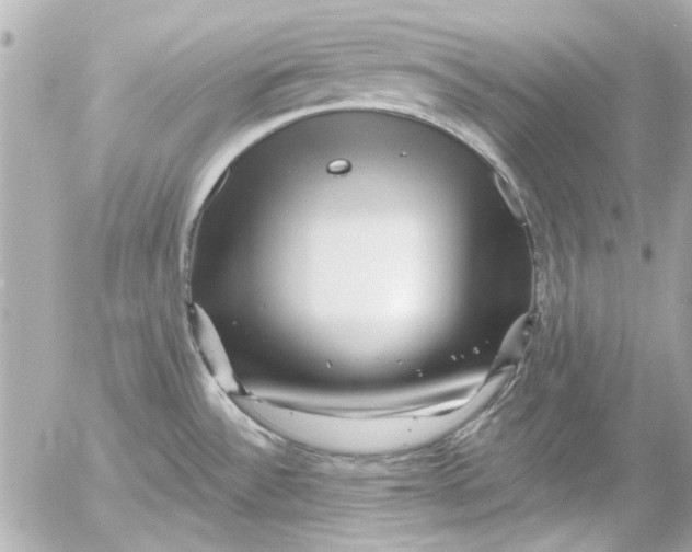 X0000054461532200508191649