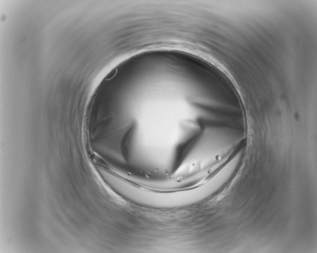 X0000054461533200508191649