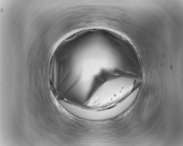 X0000054461534200508191649