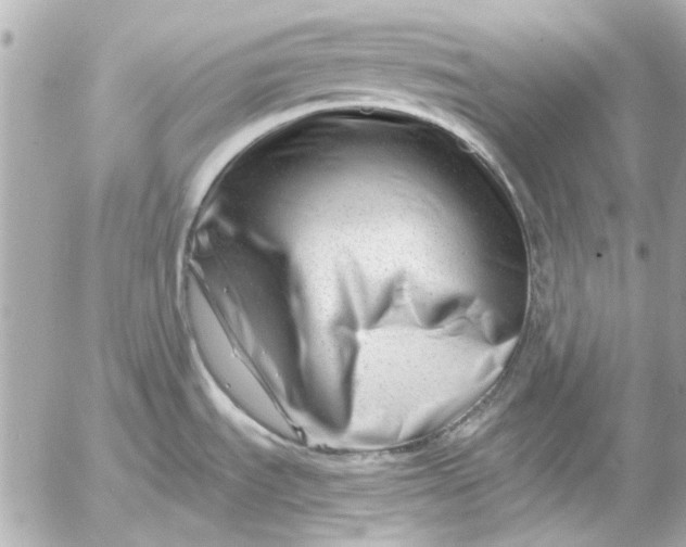 X0000054461535200508191649