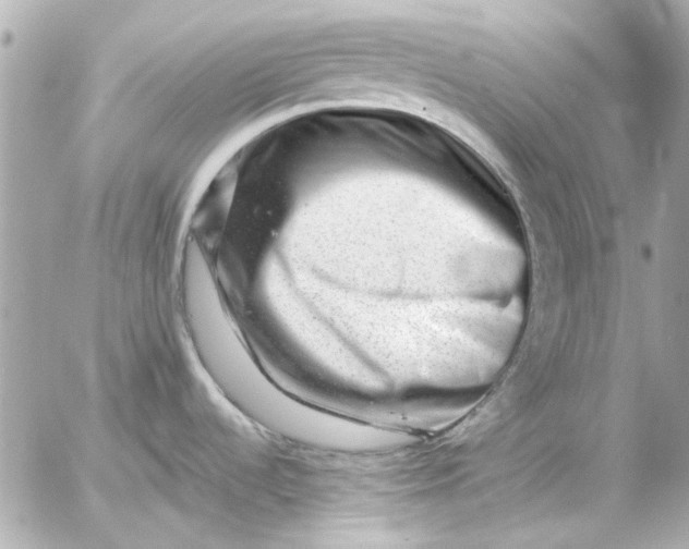 X0000054461536200508191649