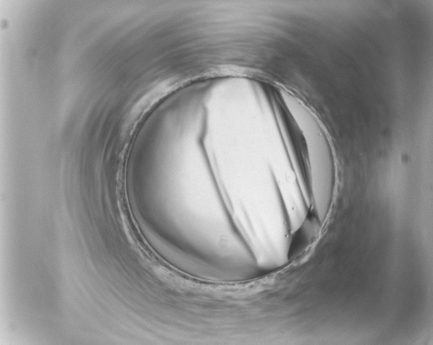 X0000054460001200508270116