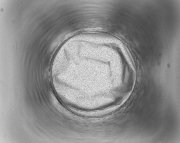 X0000054460002200508270116