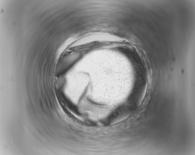 X0000054460003200508270116