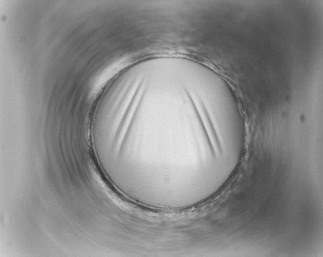 X0000054460005200508270116