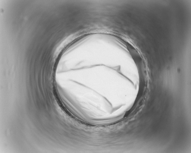 X0000054460007200508270116