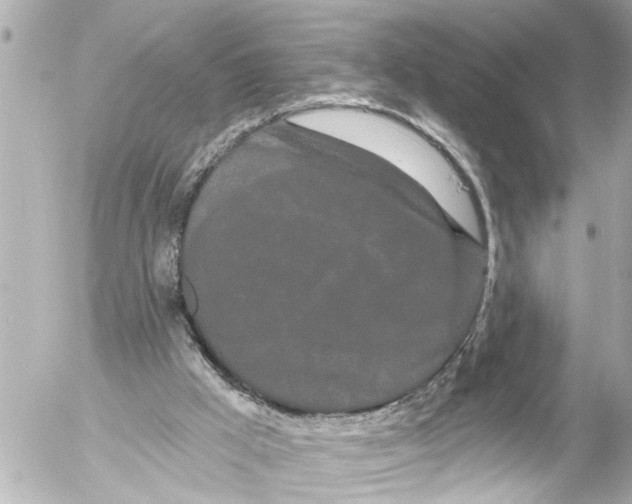 X0000054460009200508270116