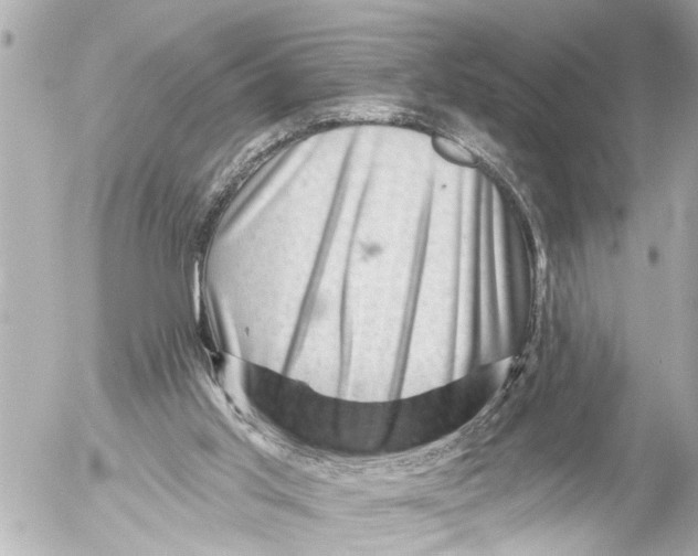X0000054460013200508270116