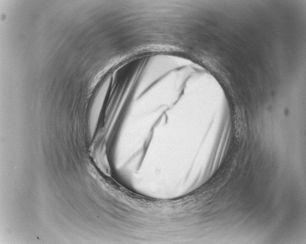 X0000054460015200508270116