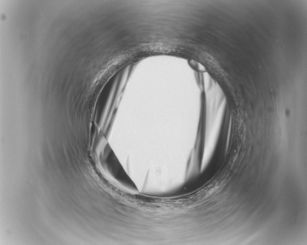 X0000054460020200508270115